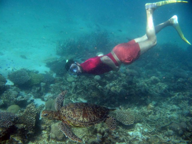 Vanuatu snorkelling!